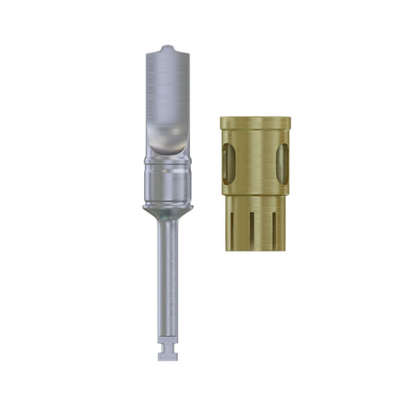 Ejercicios de Recolección de Huesos DSI NLBC