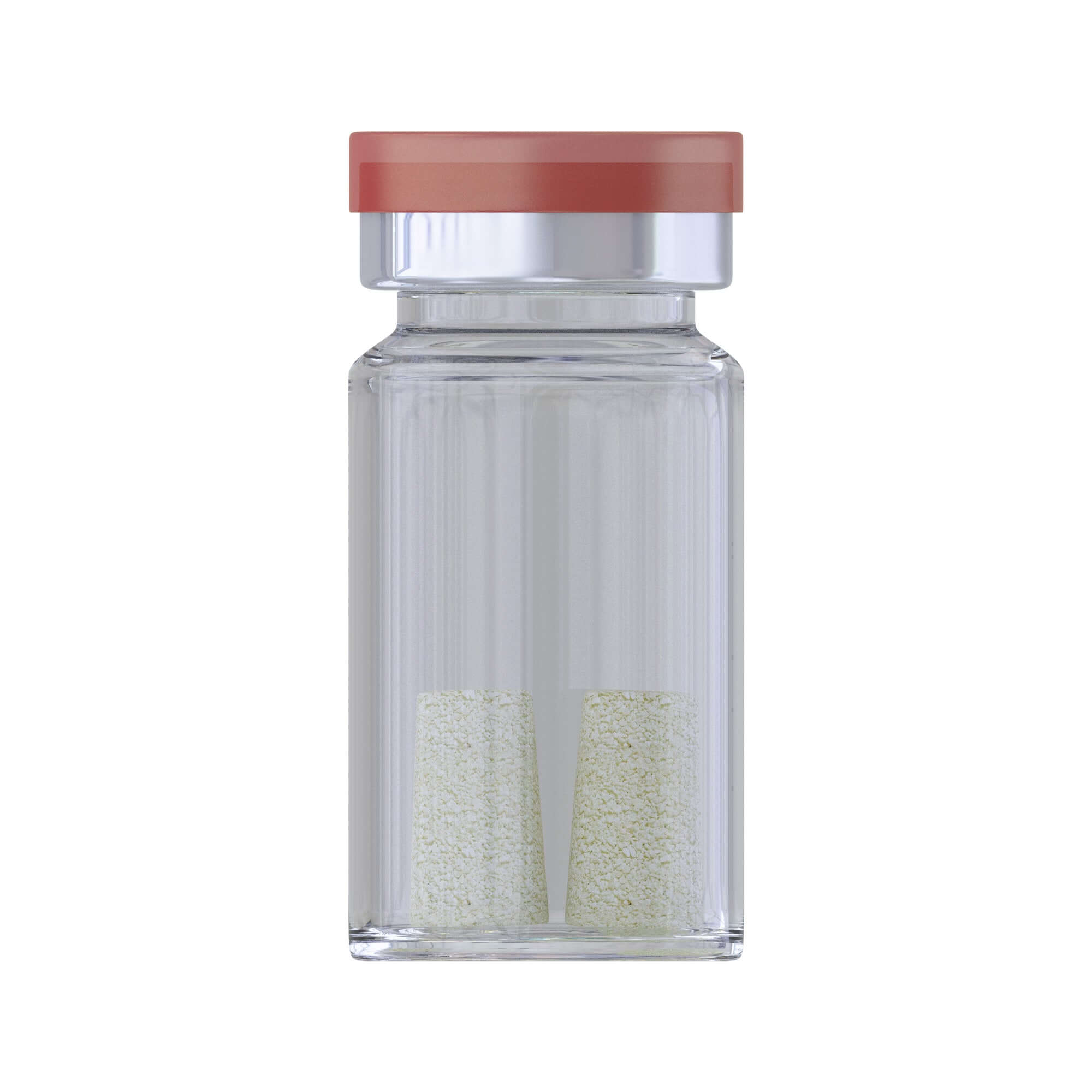 Conos de Mezcla Cortical-Cancelosa de Injerto Óseo Natural Bovina DSI Zenoss