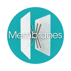 Non-resorbable PTFe Membranes