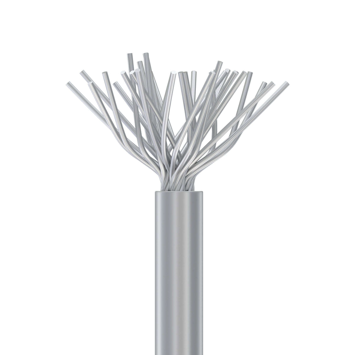 Kit De 6 Brosses En Titane Pour Nettoyage D'implants Dentaires - Débridement Péri-implantaire