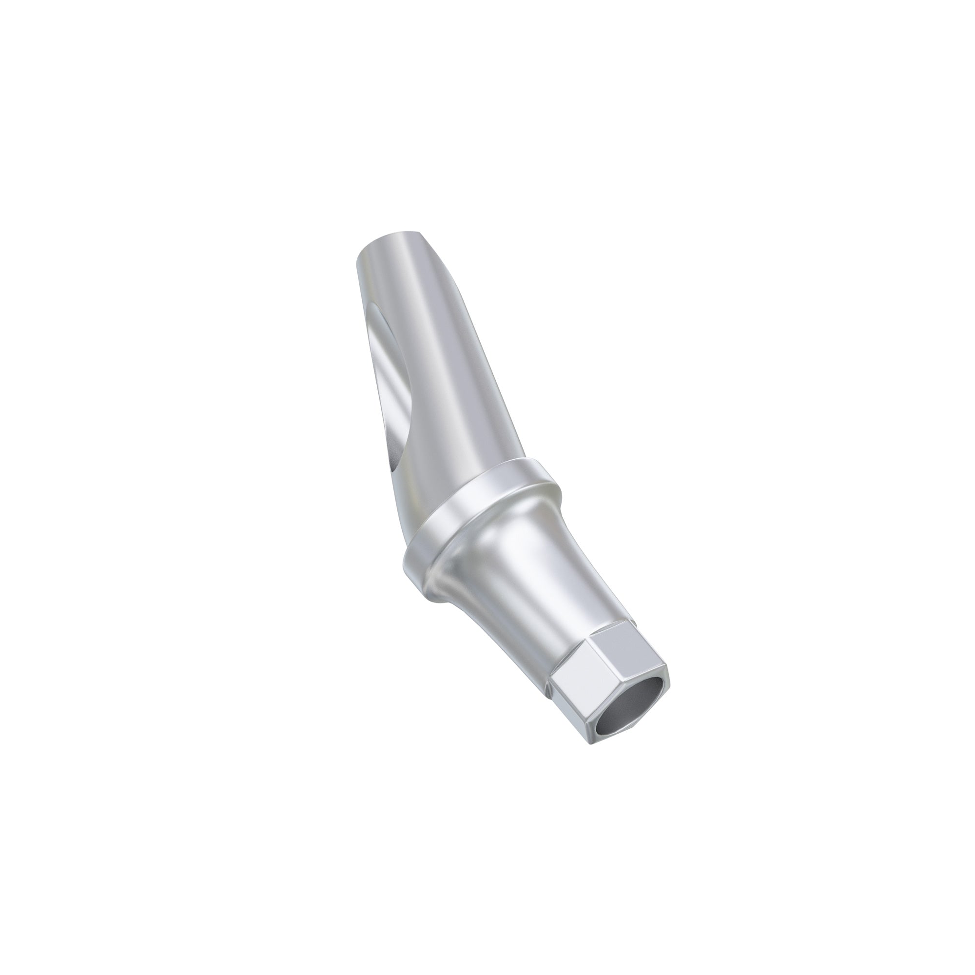 DSI Anatomic Angulated Abutment 25° Osstem TS / Hiossen ET Regular Platform