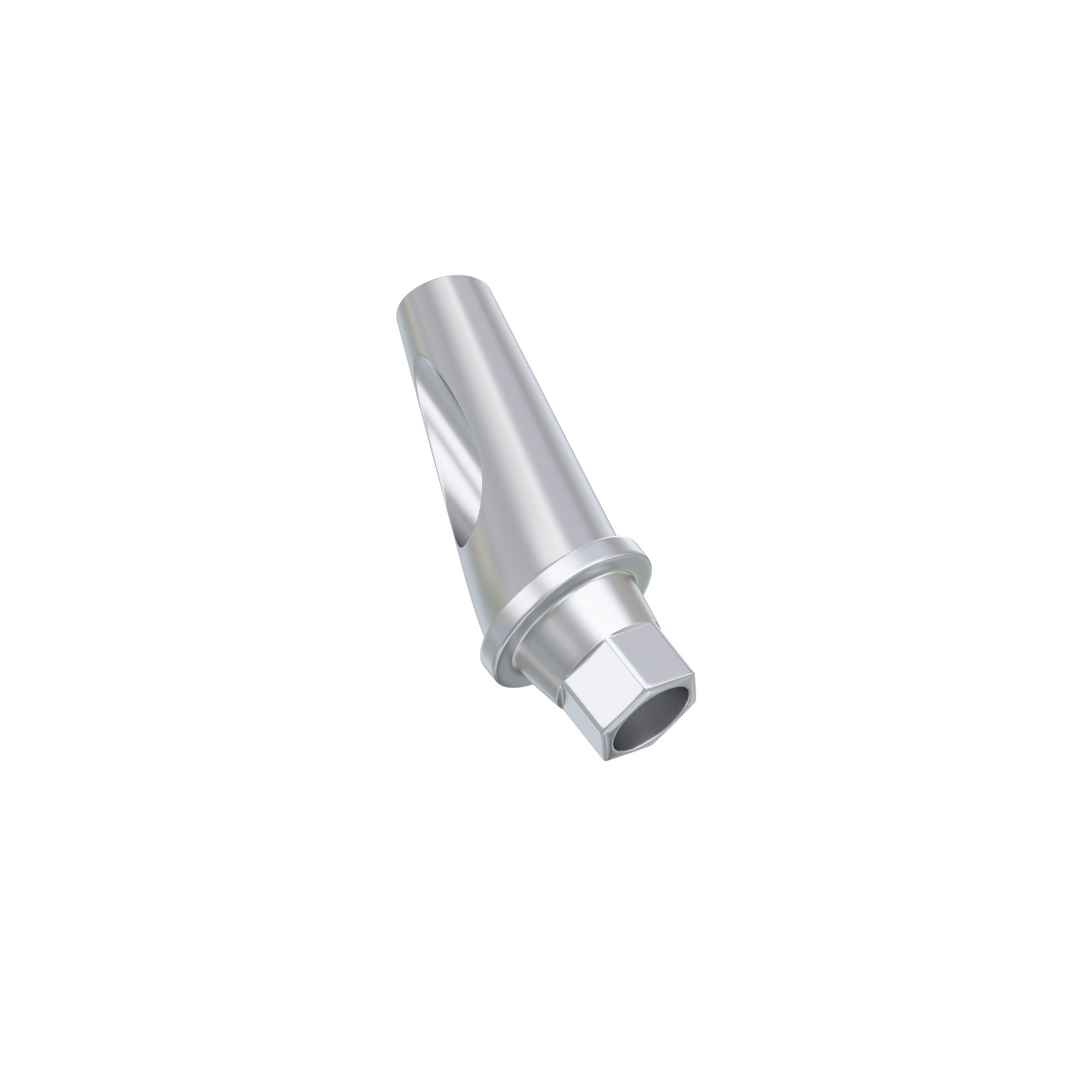 DSI Anatomic Angulated Abutment 17° Osstem TS / Hiossen ET Regular Platform