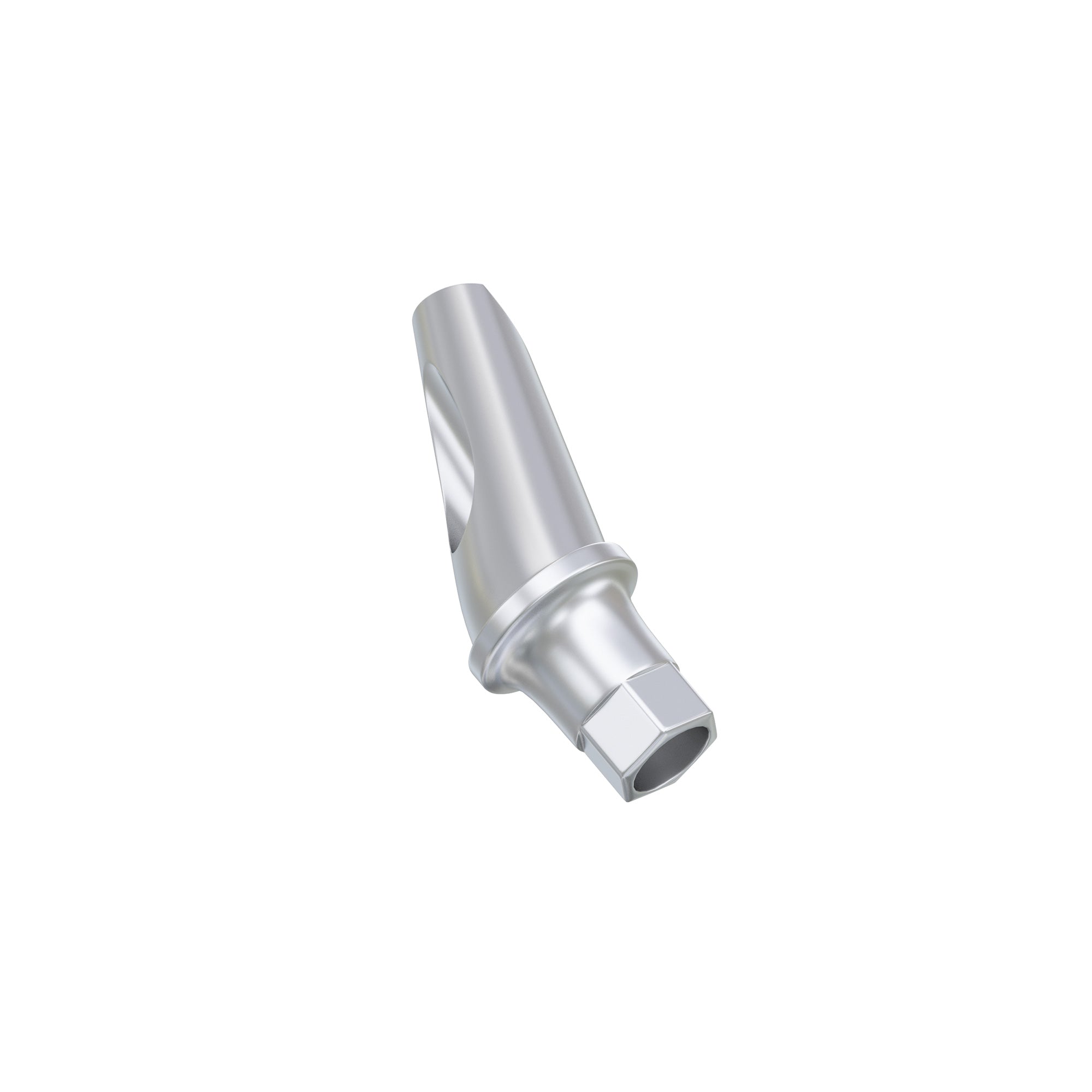 DSI Anatomic Angulated Abutment 25° Osstem TS / Hiossen ET Regular Platform