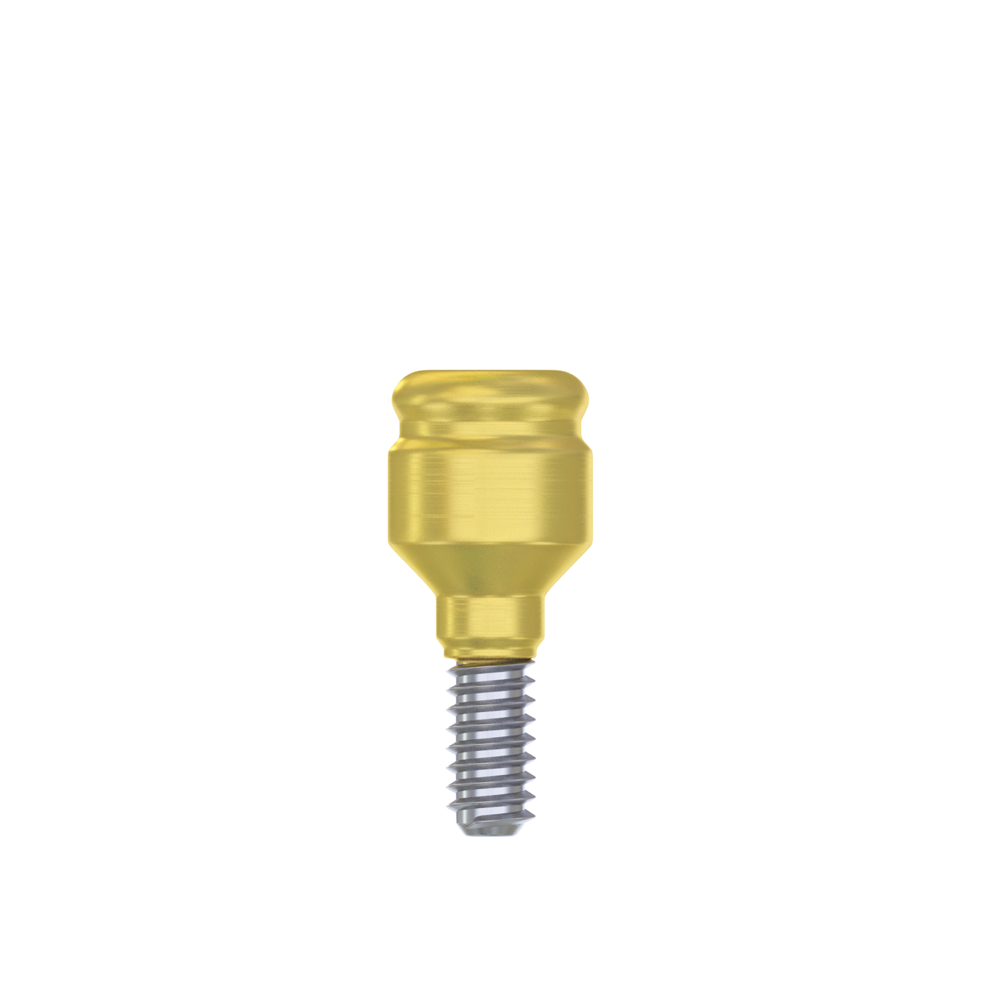 DSI Straight Loc-in Abutment 3.75mm FULL SET- Internal Hex Ø2.42mm