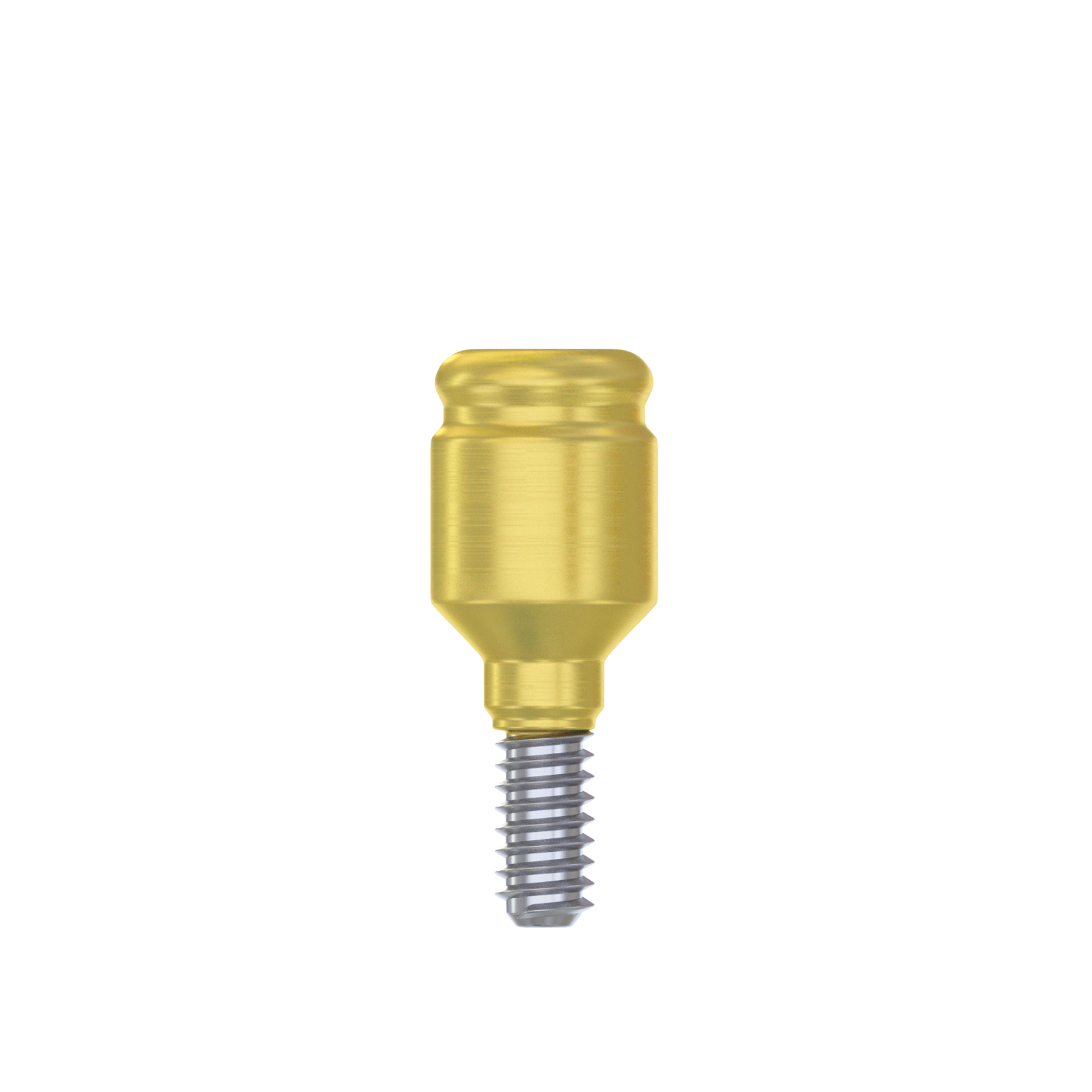 DSI Straight Loc-in Abutment 3.75mm FULL SET- Internal Hex Ø2.42mm