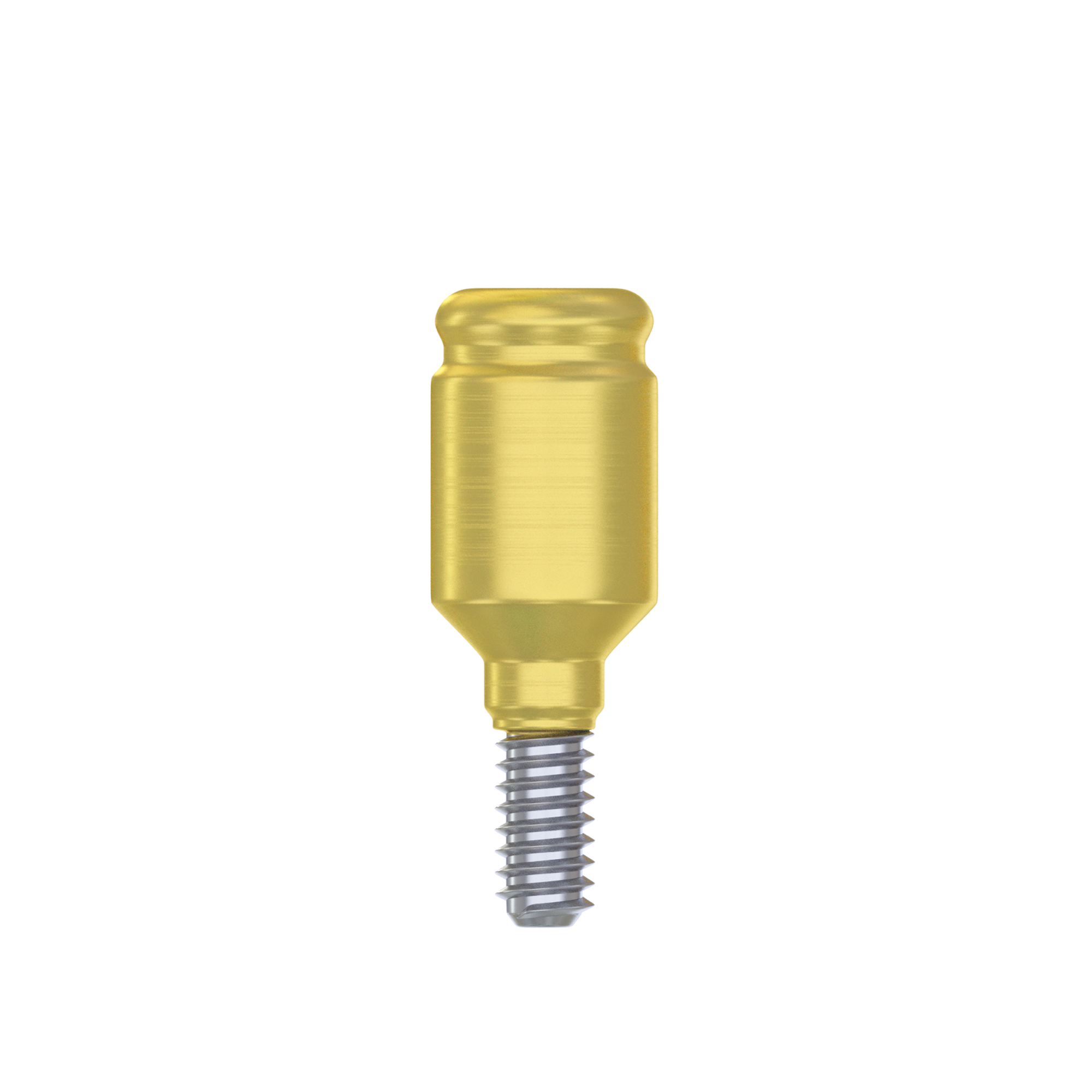 DSI Straight Loc-in Abutment 3.75mm FULL SET- Internal Hex Ø2.42mm