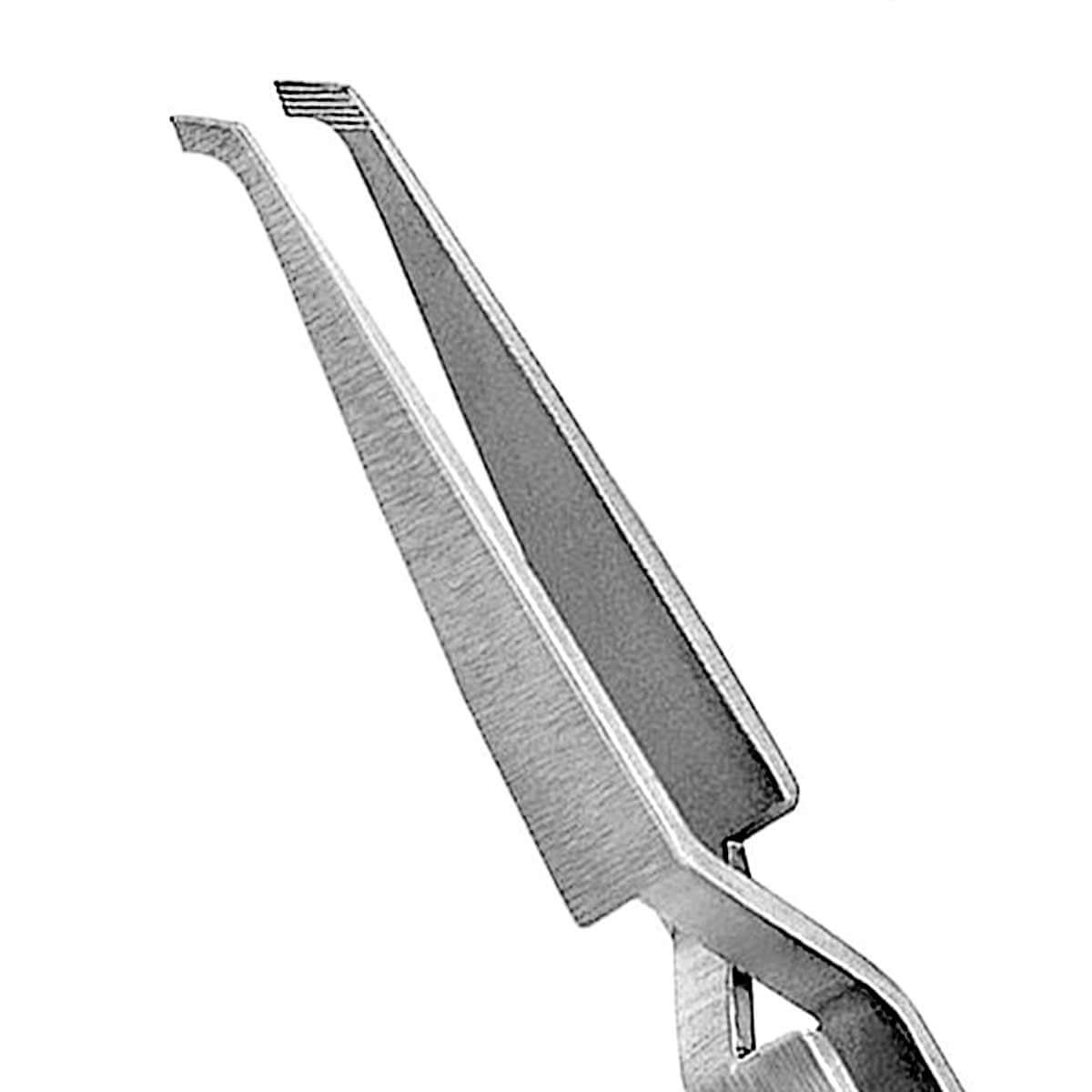 Pinza Ortodontica Morelli Con Allineatore 144mm